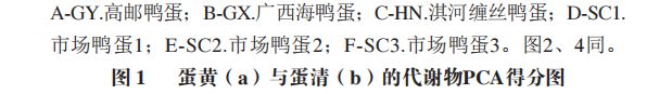 nimg.ws.134.jpg