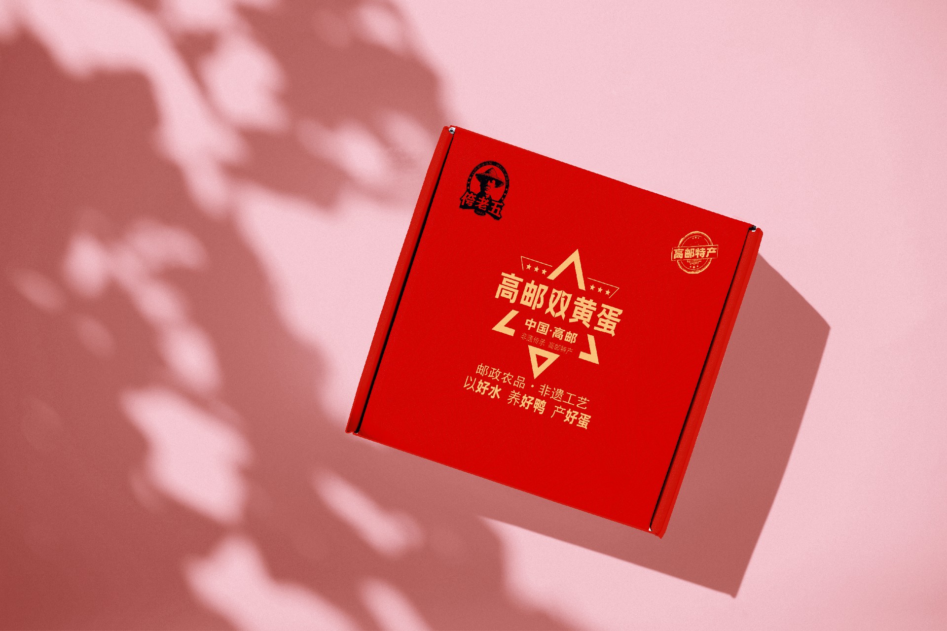 样机 拷贝.jpg